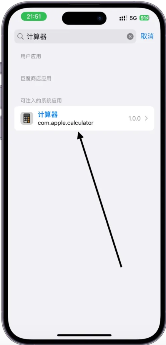 TrollFools 应用列表界面截图