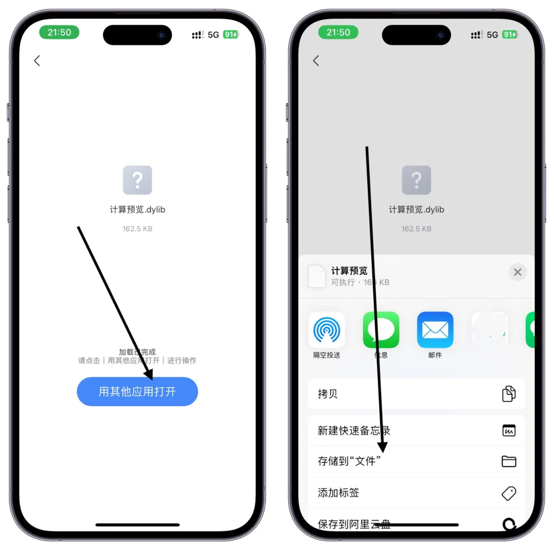 将 dylib 插件下载并存储到文件 App